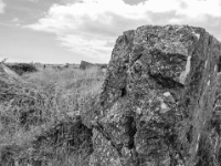 IMG-00437