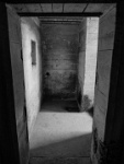 IMG-00441