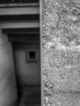 IMG-00442