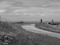 IMG-00444