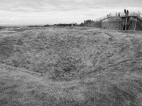 IMG-00445