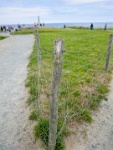IMG-00447