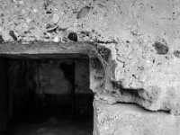 IMG-00454