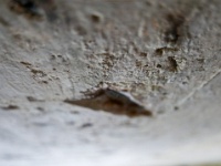 IMG-00456