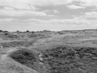 IMG-00459