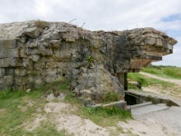 IMG-00460