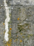 IMG-00461