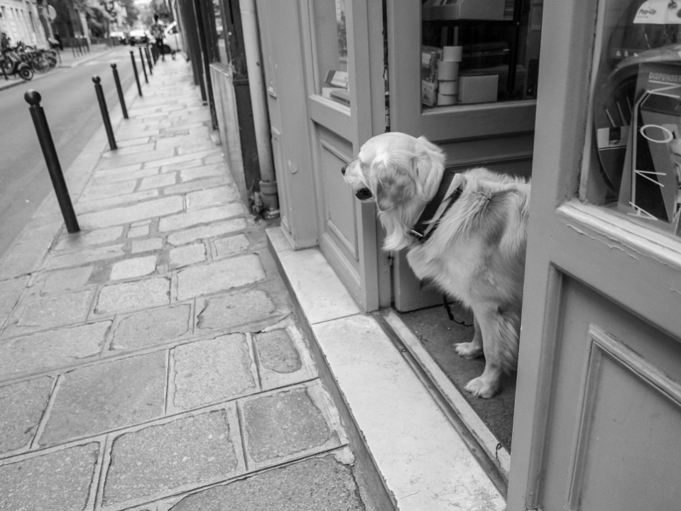 IMG-00723