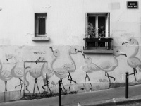 IMG-00256