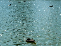 IMG-00336