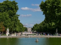 IMG-00339