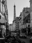 IMG-00354