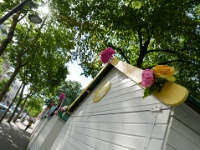 IMG-00674