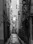 IMG-00706