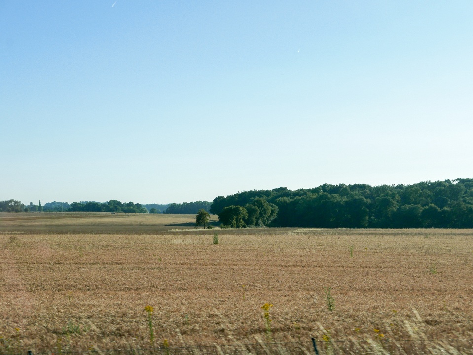 IMG-00375