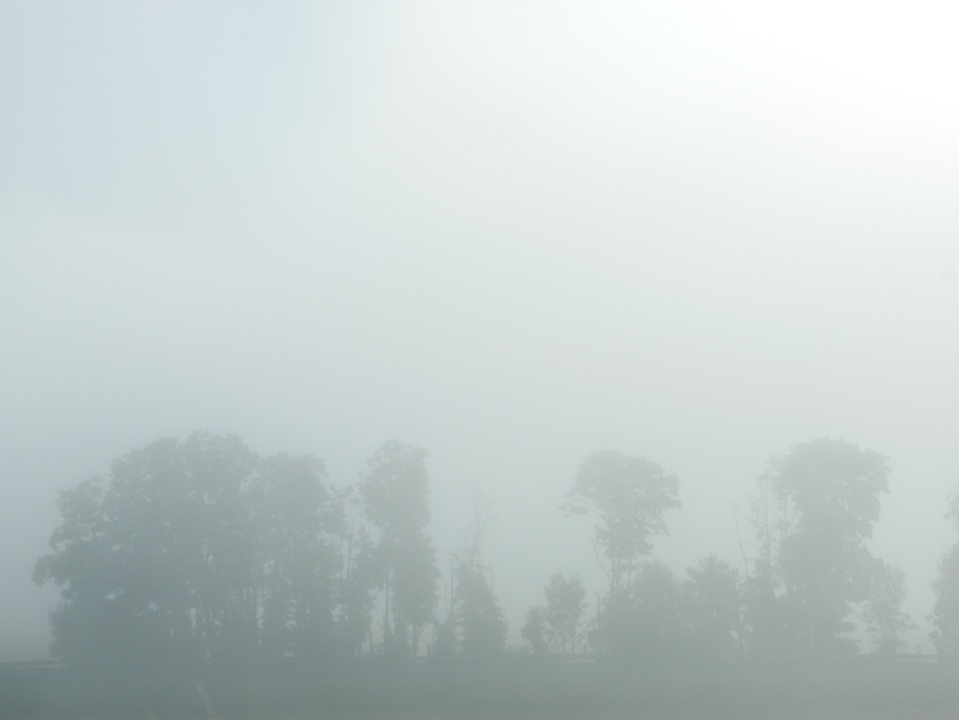 IMG-00377