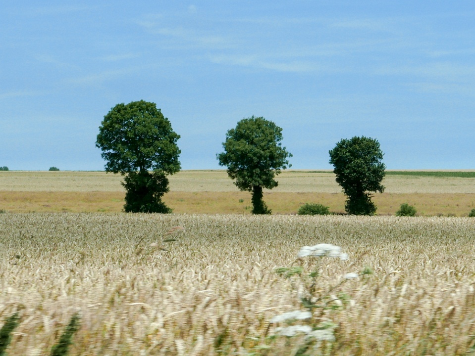 IMG-00463