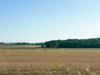 IMG-00375