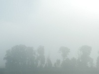 IMG-00377