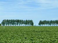 IMG-00487
