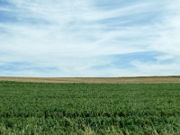 IMG-00526
