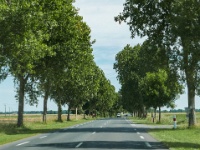 IMG-00527