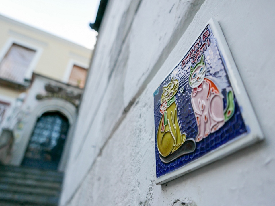 IMG-00606