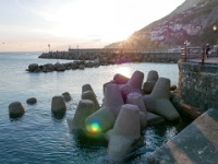 IMG-00595