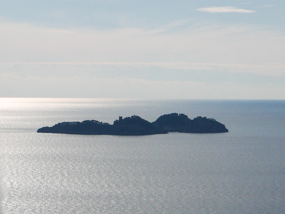 IMG-00530