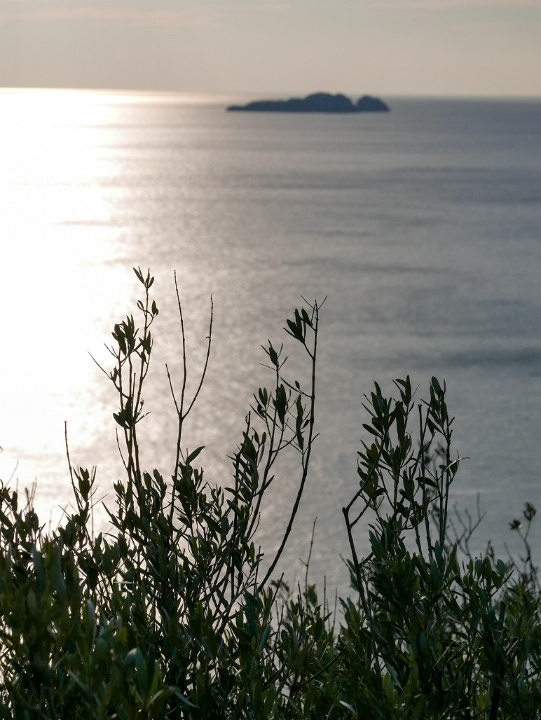 IMG-00573