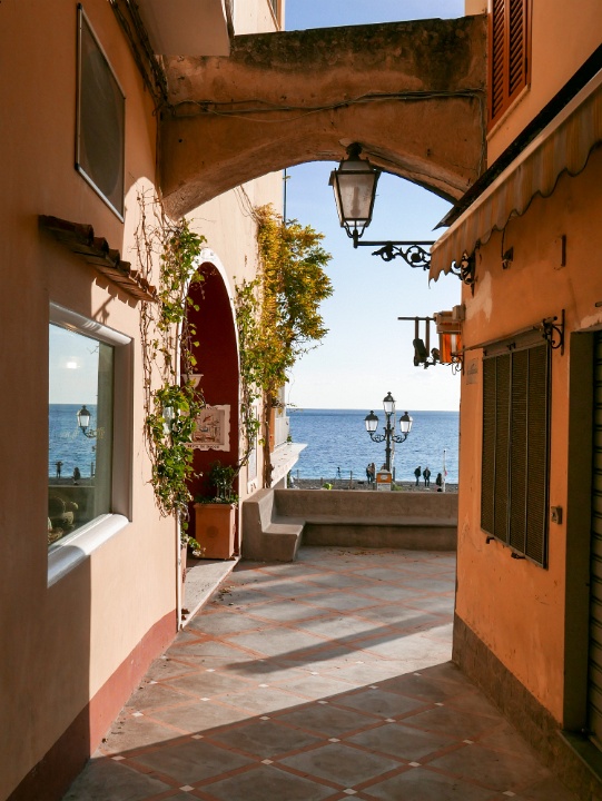 IMG-00564