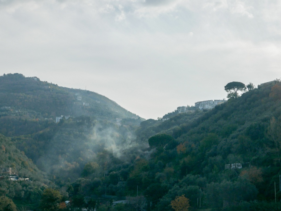 IMG-00524