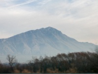 IMG-00474