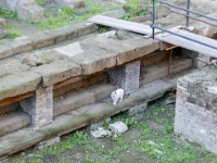 IMG-00656