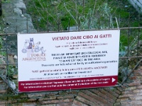 IMG-00648