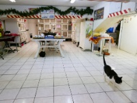 IMG-00651