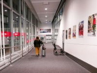 IMG-00025