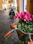 IMG-00449