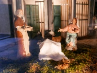 IMG-00224