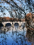IMG-00111