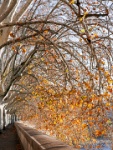 IMG-00116