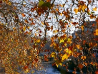 IMG-00117
