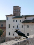 IMG-00119