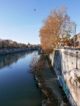 IMG-00368
