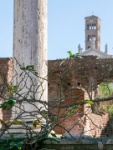 IMG-00149.jpg