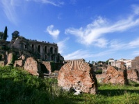 IMG-00173.jpg