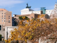 IMG-00174.jpg