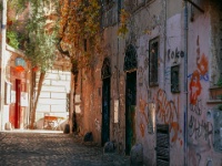 IMG-00351