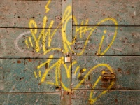 IMG-00664