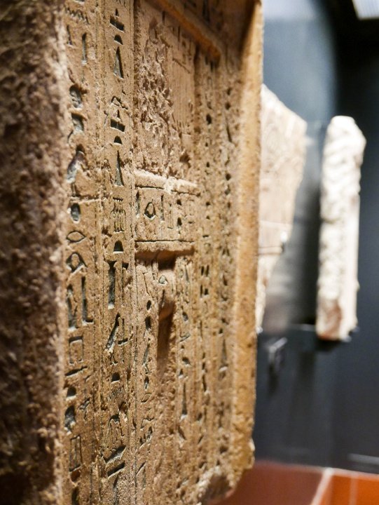 IMG-00313